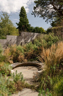 234048 - 20240828-CAMP-RD_TMH-60_HI_RES.JPG