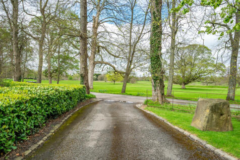 Views