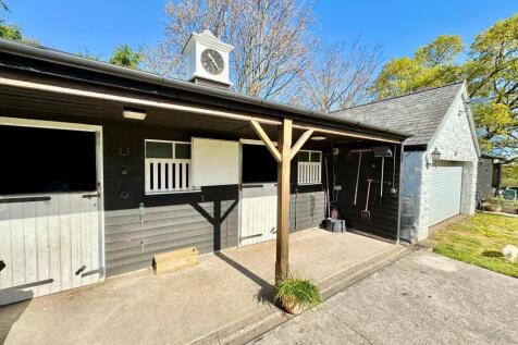 PHOTO-2025-04-20-09-23-00 (34).jpg