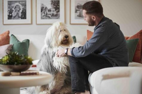 primary property image