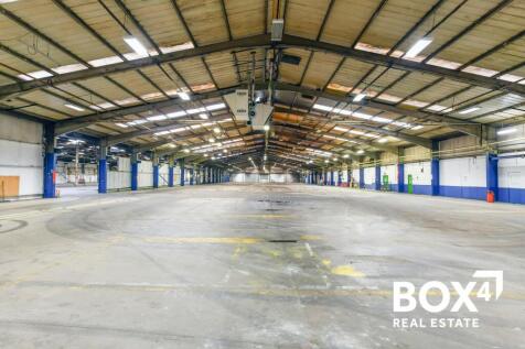 DSC_72342 lighter.jpg