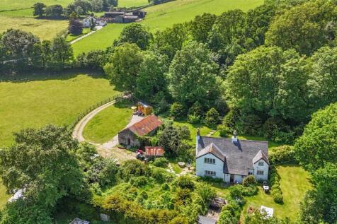 Drone Image
