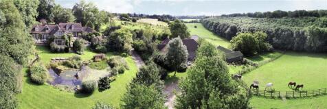 Aerial Shot