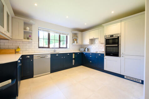 the Laines-21