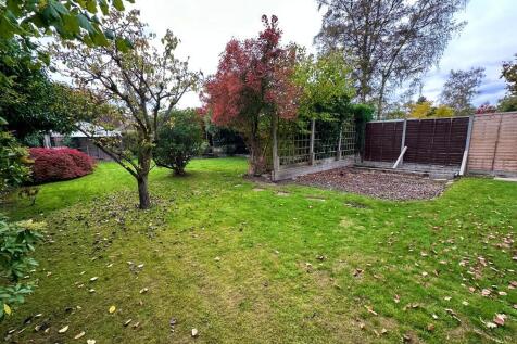 IMG-20251019-WA00...