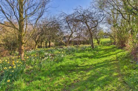 Property Image 31