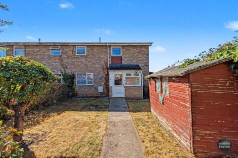 (Main)