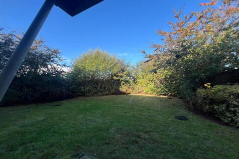 Back Garden.jpg
