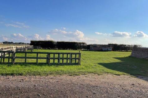 Garden &amp; Viewing Platform