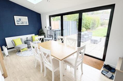 IMG_1981 (Large).JPG