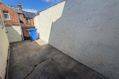 new rear yard.jpg