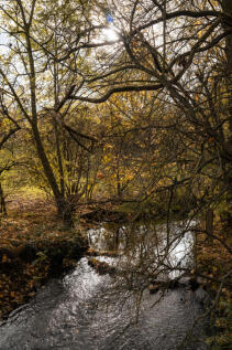 319555 - 4FrisbyLane_HighRes-8.jpg