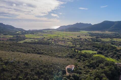 WhatsApp Image 2025-