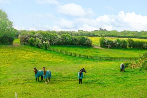 Paddocks