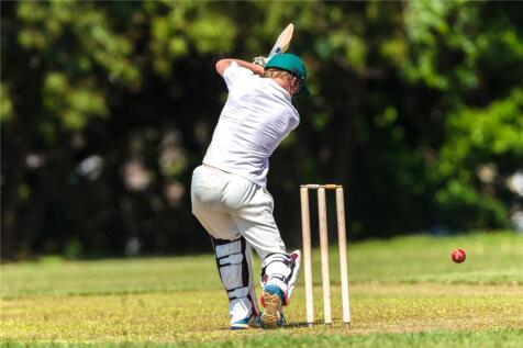 Cricket