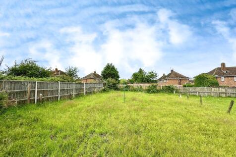 Garden (2)