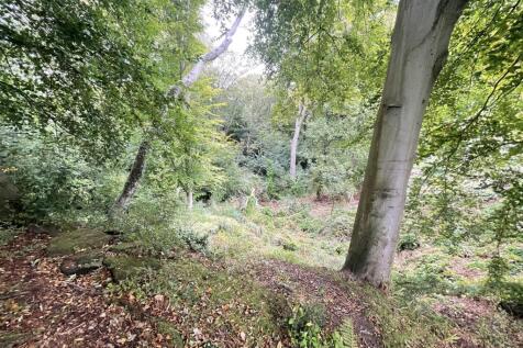 Photo 06-10-2025, 09 36 44.jpg