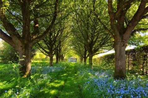 The Grounds