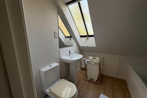 IMG 0558 Medium T202602251252.jpg