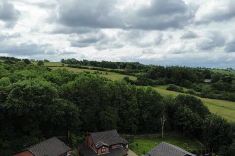 dji_fly_20260614_051452_273_1781435003329_photo_op