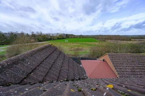 Rear View From Skylight