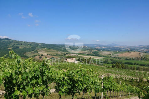 Panorama e Particolari