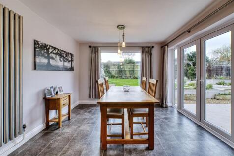 Holly RdD78_7935_HDR.jpg