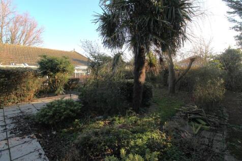 Garden_7.JPG