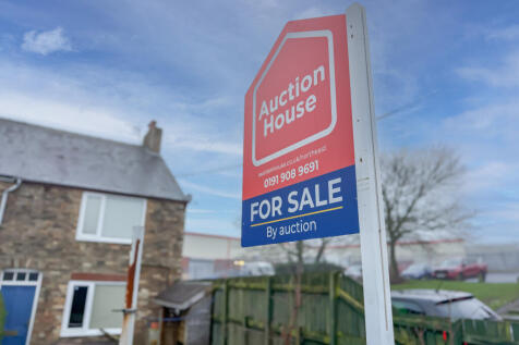 IMG 0823 T202601251659.jpg