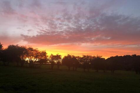 Saxton Mee Flora Dene 0108.jpg