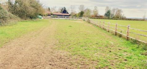 Grass Paddock