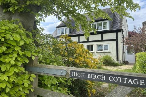 IMG_4133.jpeg