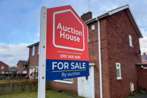 IMG 2637 T202602160846.jpg