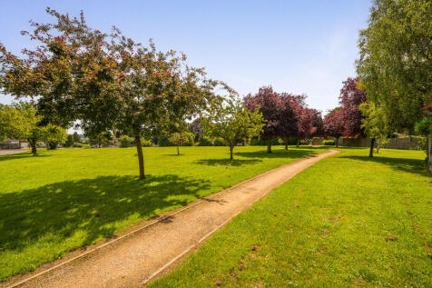 Cherry Glebe-36
