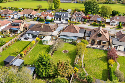 Sunlit Suburban Gardens from Above (1).png