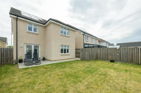 Back Garden