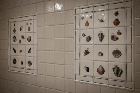 250306 - Middle Grange, Ravensden - 53.jpg