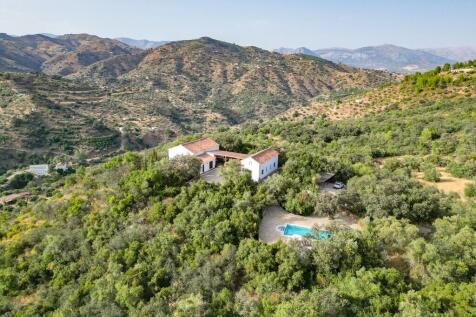 Comares-Woodland-Poo