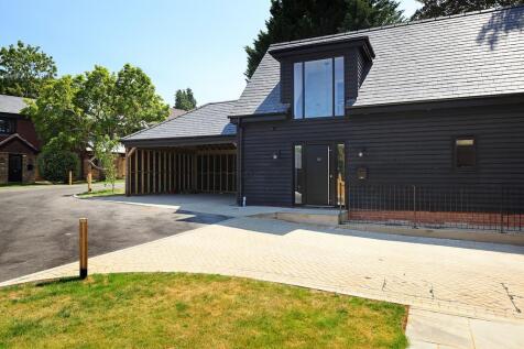 PG-P10-PaddockGrove-July26-7694.jpg