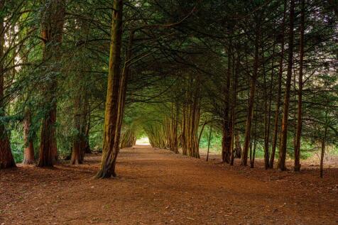 Local area photography of Apley Woods, Telford