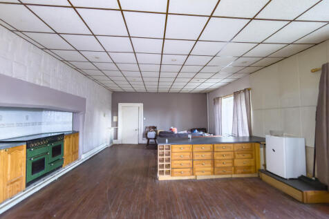 IMG 6425 2 T202510231701.jpg