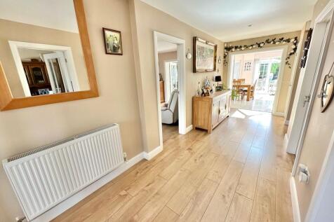 IMG-20250520-WA00...