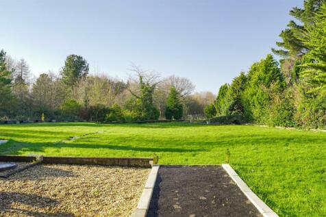 16.jpg