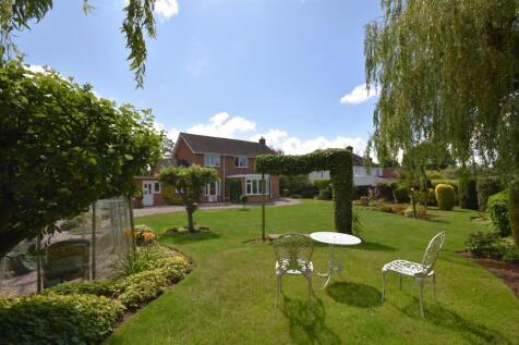 DSC_0328 - Copy (3).JPG