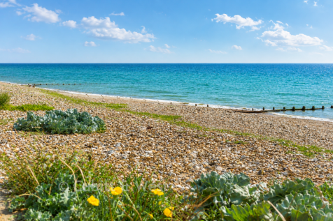 Rustington Beach