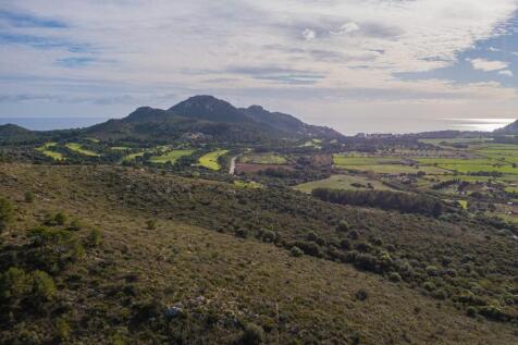 WhatsApp Image 2025-