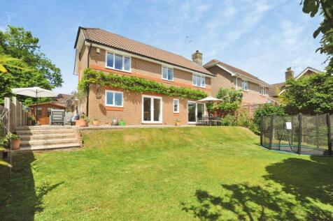Rear & Garden