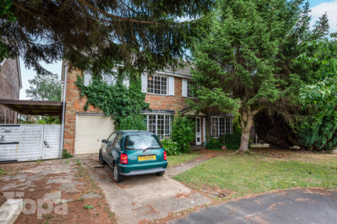 Property Image 19