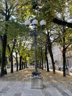 19th century feature