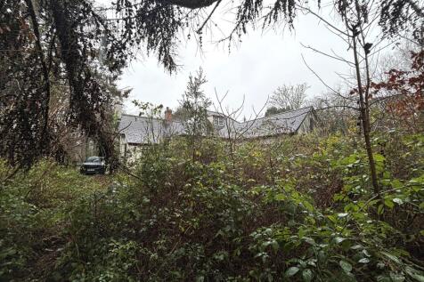 IMG 2863 T202602211416.jpeg